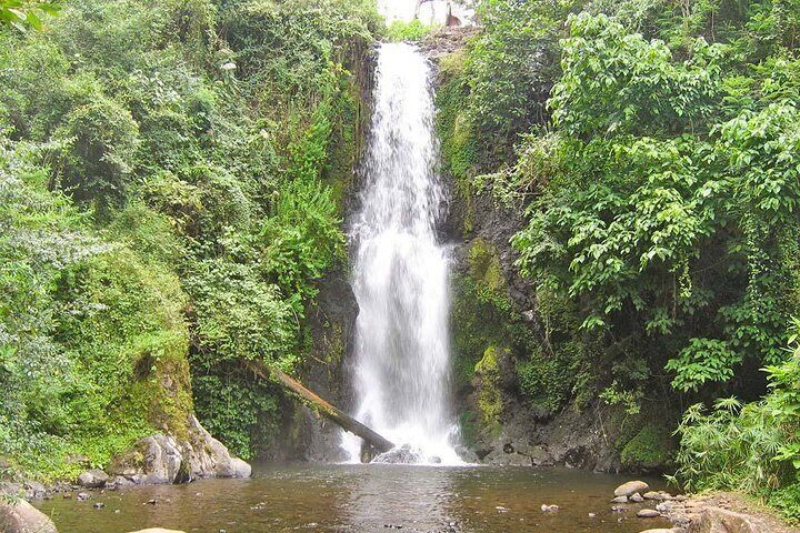 Marangu waterfalls day tour