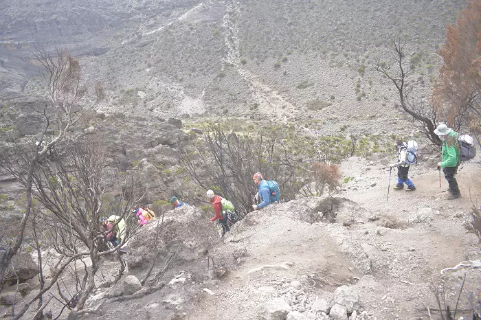 7 days Machame route climbing tour package 2024