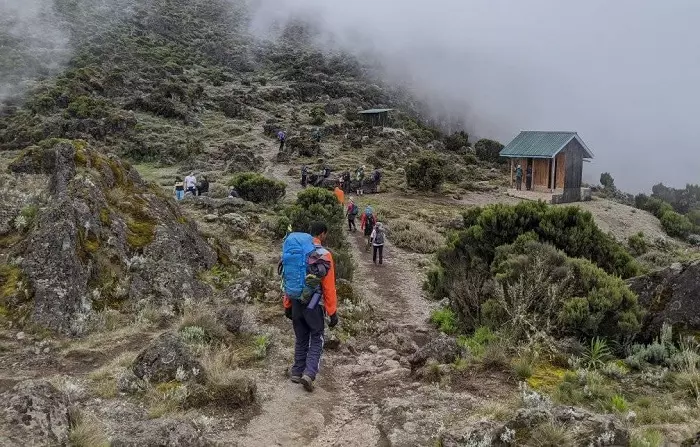 Marangu route Kilimanjaro hiking