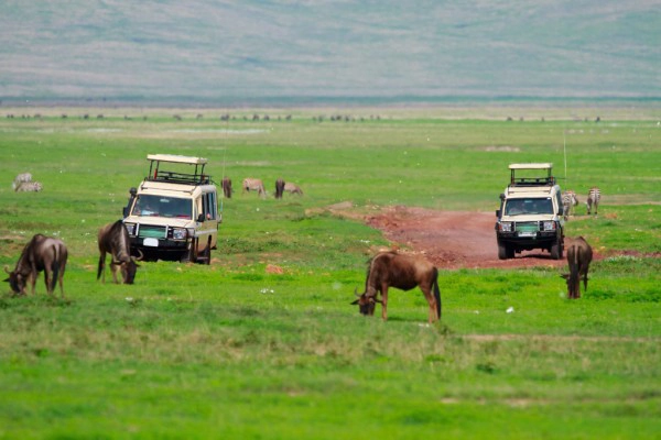 Tourist enjoy the nature in Ngorongoro Crater during two days Tanzania safari