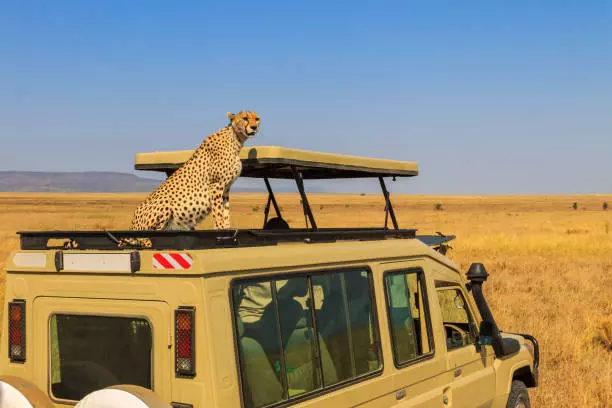 budget safari tanzania