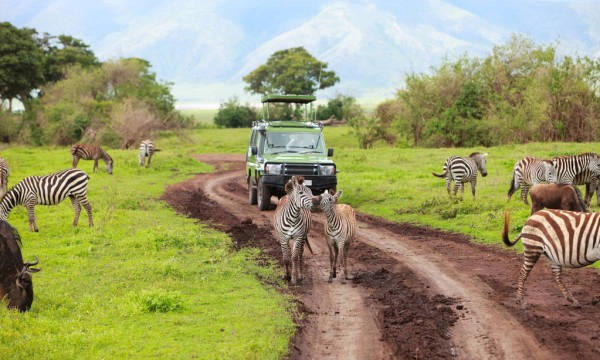 1 day Tanzania safari to Lake Manyara