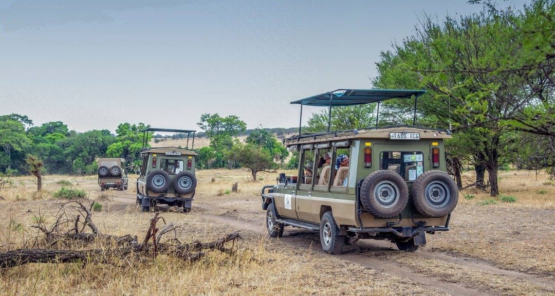 Budget camping option for 2-day Tanzania safari