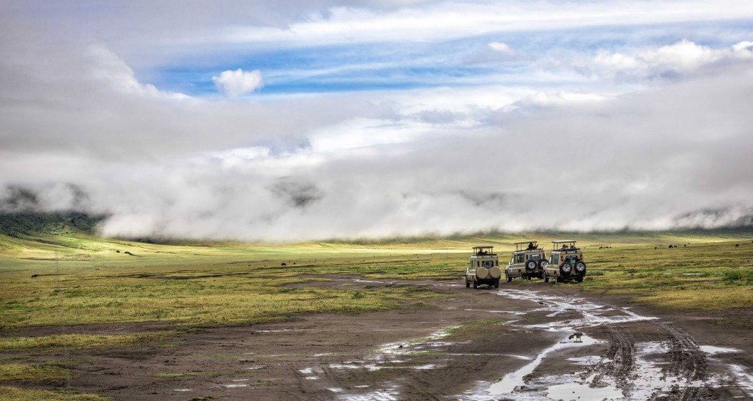 Ngorongoro Crater panoramic view