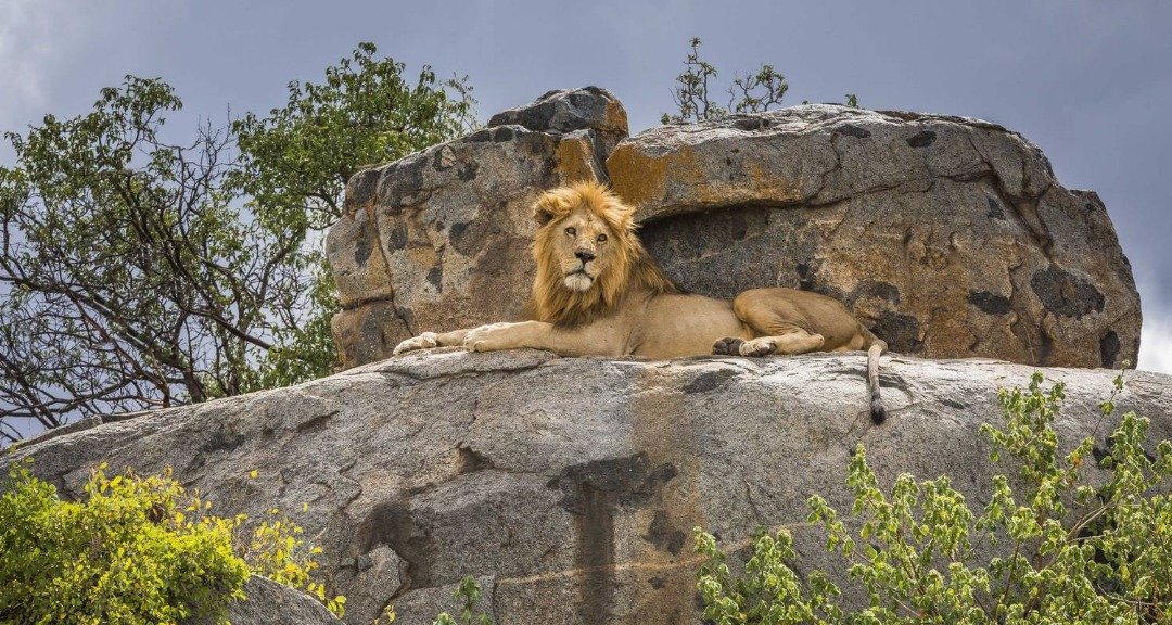 Tanzania visa entry requirements