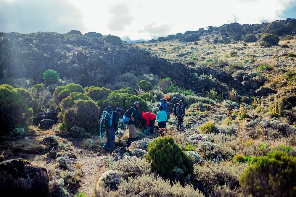 Aconcagua 2024