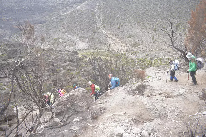 7 days Machame route climbing tour package 2025