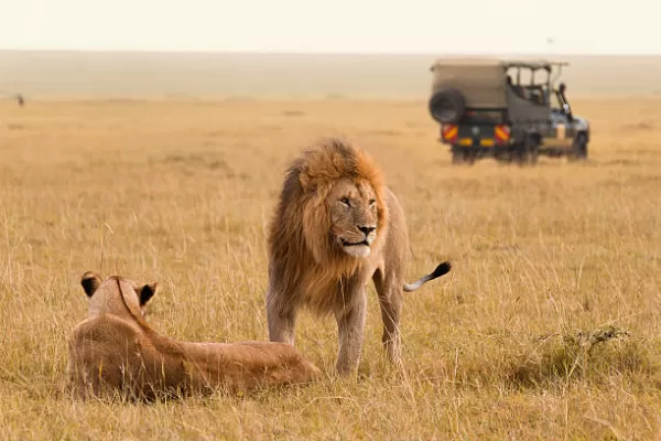 Serengeti game drive Tanzania 2027 with open-roof safari vehicle
