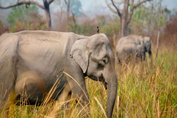 Arusha town Tanzania luxury safari starting point 2026