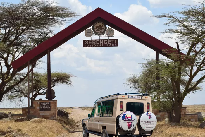Tanzania Safari