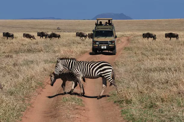 Ngorongoro Crater Safari Tanzania