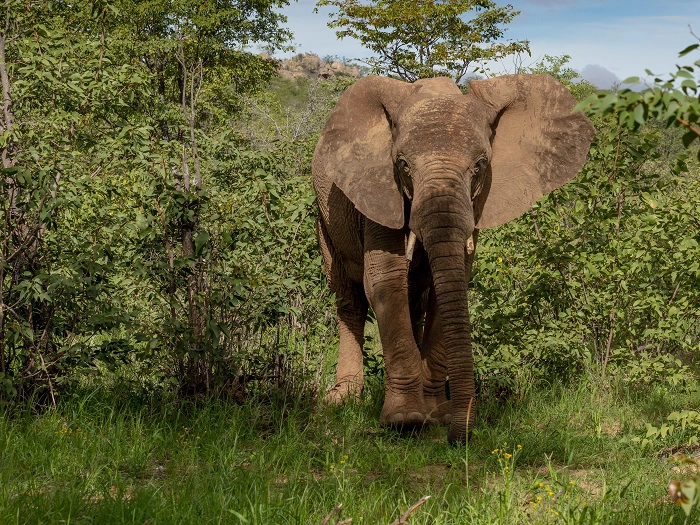 5-day Tanzania safari from Tarangire via Lake Manyara